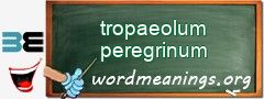 WordMeaning blackboard for tropaeolum peregrinum